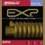 EXP13