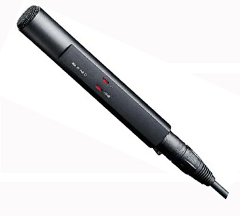 Sennheiser MKH 20-P48