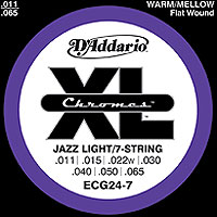 D’addario ECG24-7