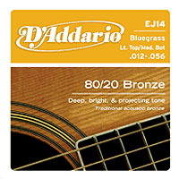D’addario EJ14