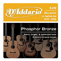D’addario EJ19
