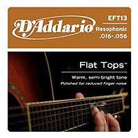 D’addario EFT13
