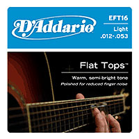 D’addario EFT16
