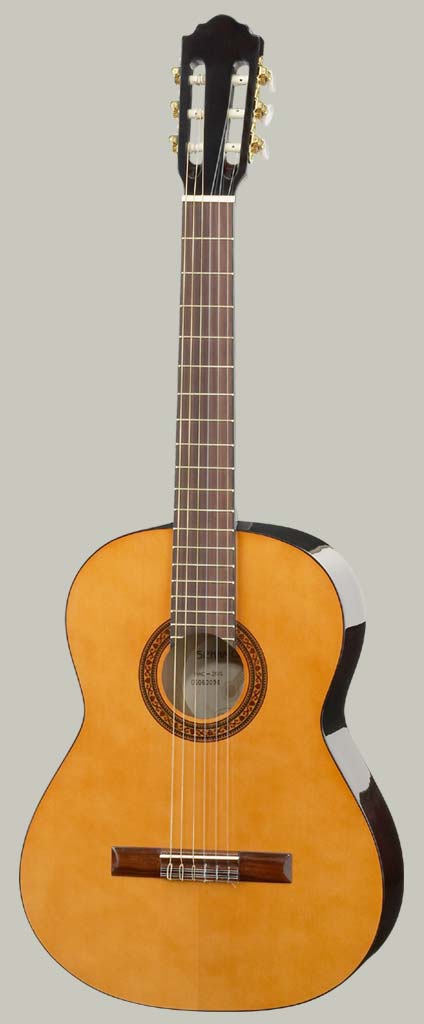 Karl Höfner HAC 204-4/4 - Нет в наличии