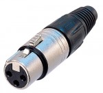 NC4FX