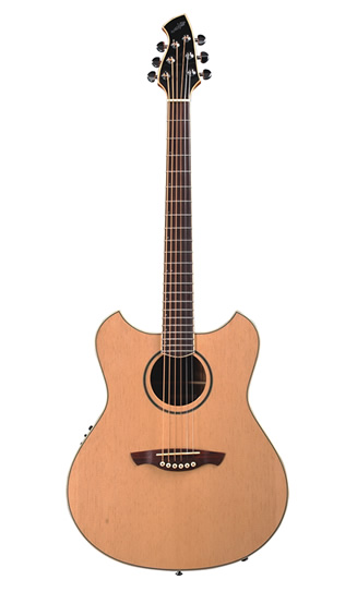 Wechter Guitars PM-3120TE