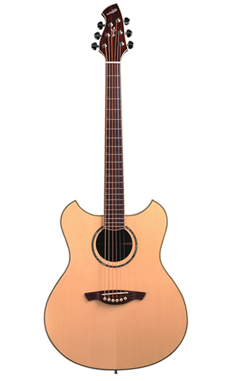 Wechter Guitars PM-5730E