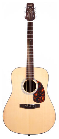 Wechter Guitars DN-8118