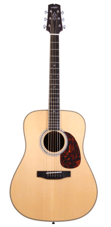Wechter Guitars DN-8128