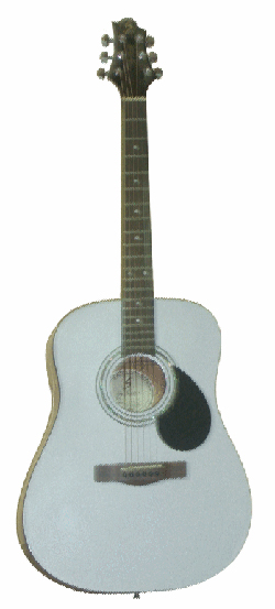 Samick D1/PW