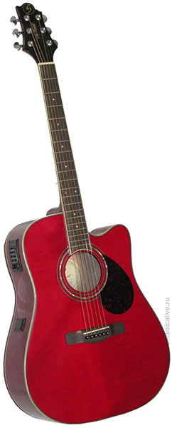 Samick D5CE/WR