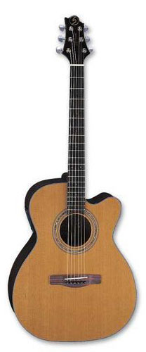Samick OM-13CE