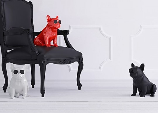 Jarre Technologies AeroBull XS1