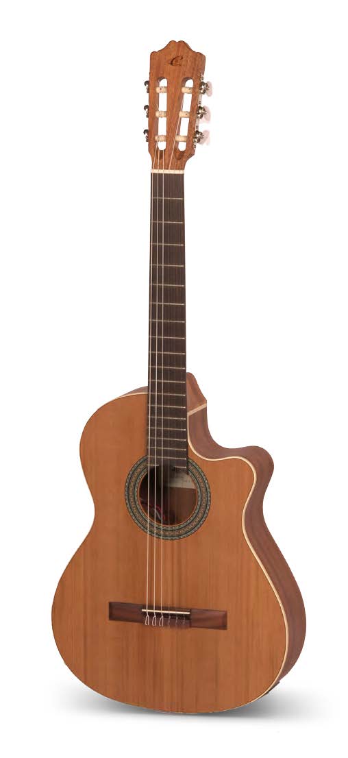 CUENCA Guitars 5 Nature CW EZ