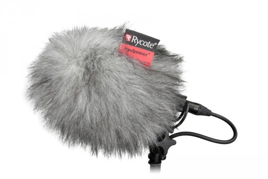 RYCOTE 021801 BBG Windjammer