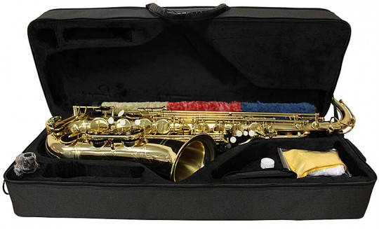 Westminster Instrument WETS-100-1-0