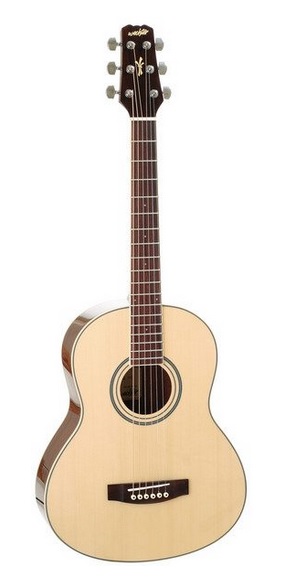 Wechter Guitars TV-1710