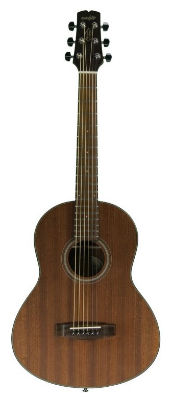 Wechter Guitars TV-1720