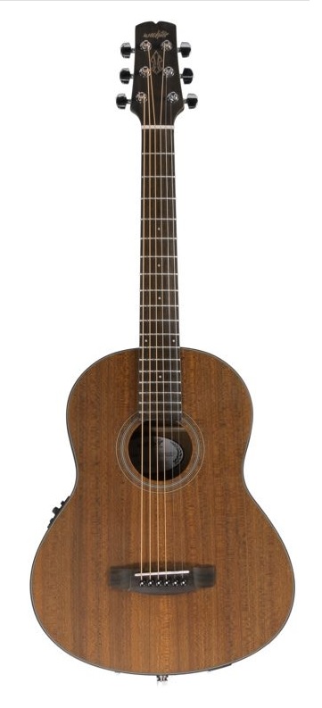 Wechter Guitars TV-1720E