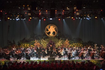 Robe на международном фольклорном музыкальном фестивале Eisteddfod в Лланголене, Уэльс