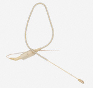 Ear Set 1