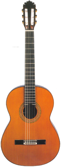 Manuel Rodriguez C