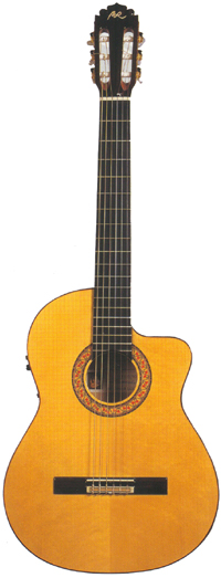 Manuel Rodriguez B Cutway