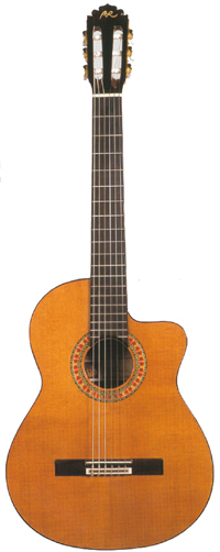 Manuel Rodriguez C Cutway