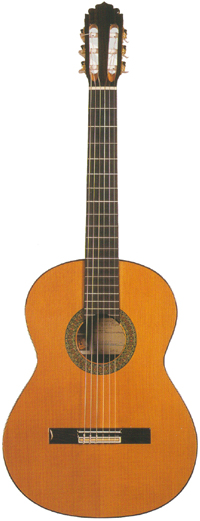 Manuel Rodriguez B Spruce